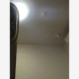 ��SIM�ե꡼ iPhone13 128GB �֥롼