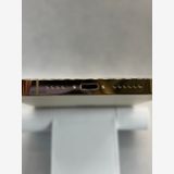 ���Хåƥ꡼100% Ķ���� SIM�ե꡼ iPhone13ProMax 1TB �������