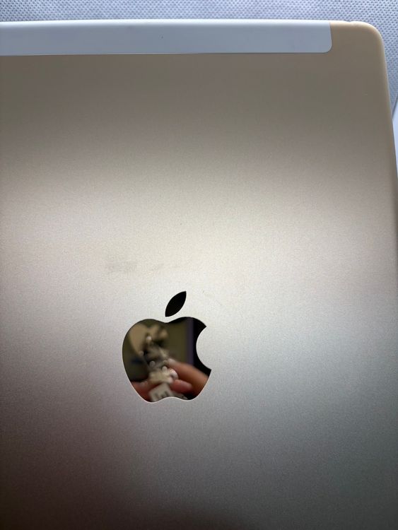 ��iPad Air 2 16GB ������� Softbank
