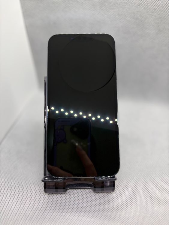 ���ϥԥͥ��ͥå� ̤������ SIM�ե꡼ iPhone13Pro 256GB ������֥롼