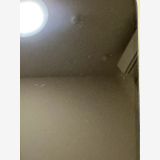 ���Хåƥ꡼82% SIM�ե꡼ iPhone12 64GB �֥롼