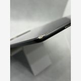 ��SIM�ե꡼ iPad mini 5 64GB ���졼