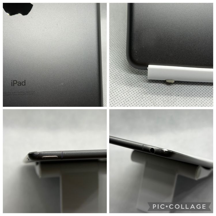 ��SIM�ե꡼ iPad mini 5 64GB ���졼