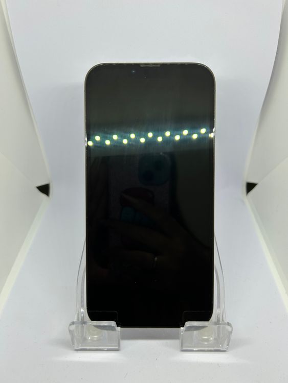 ��SIM�ե꡼ iPhone13ProMax 256GB ����ѥ��󥰥꡼��