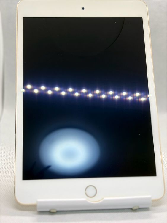 ��iPad mini ��4���� 16GB �������