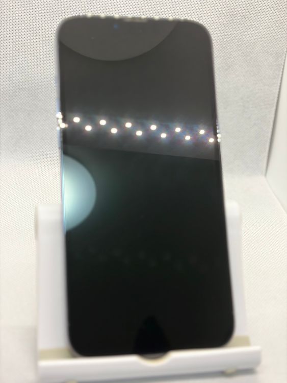 ���Хåƥ꡼100% SIM�ե꡼ iPhone13ProMax 1TB������֥롼