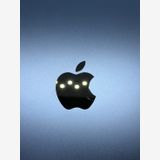��SIM�ե꡼ iPad ��10���� 256GB �֥롼