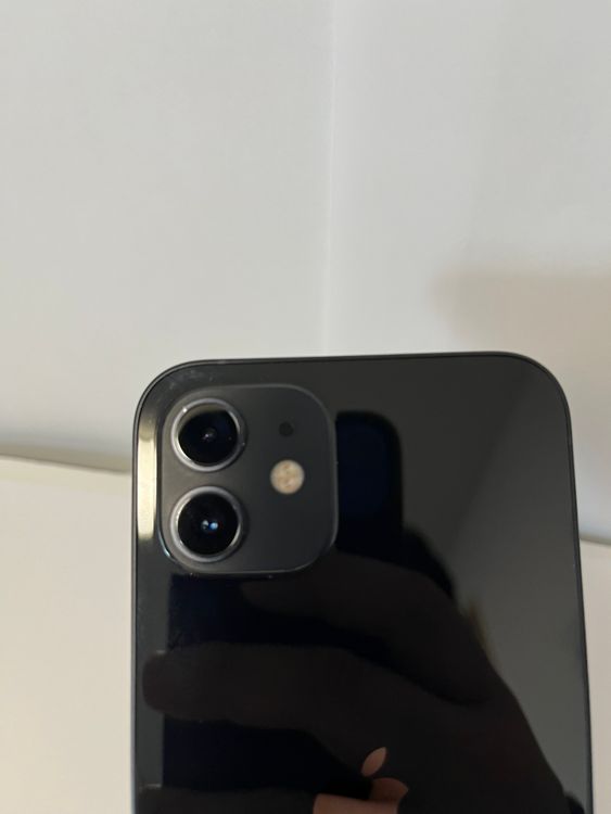 ϥԥͥͥåiPhone12 256GB ֥å  ̵