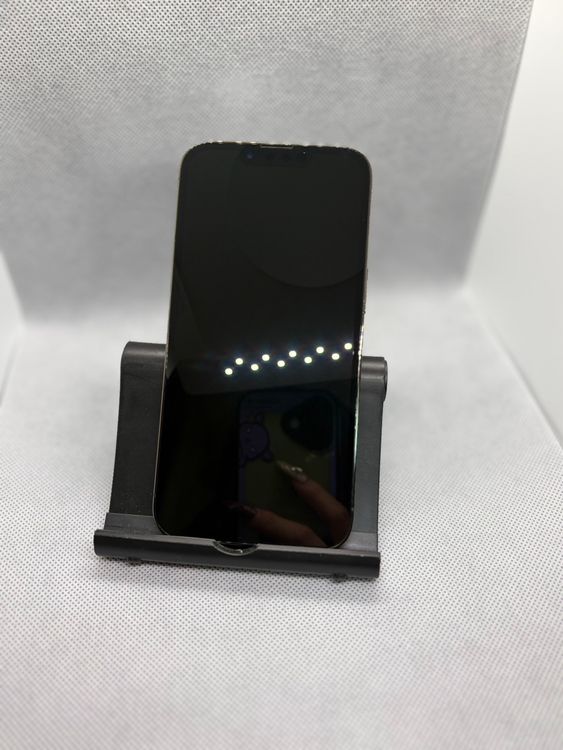 ���ϥԥͥ��ͥå� SIM�ե꡼ iPhone13Pro 256GB ����ѥ��󥰥꡼��