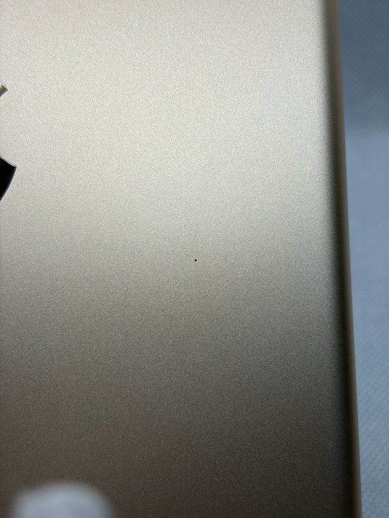 ��iPad mini ��4���� 16GB �������
