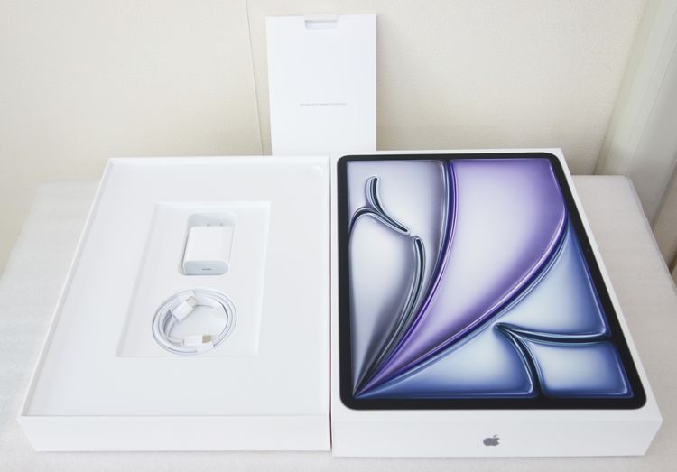 Apple iPad Air 13����� M3 Wi-Fi 128GB ���ڡ������쥤 �ǥ�Ÿ����