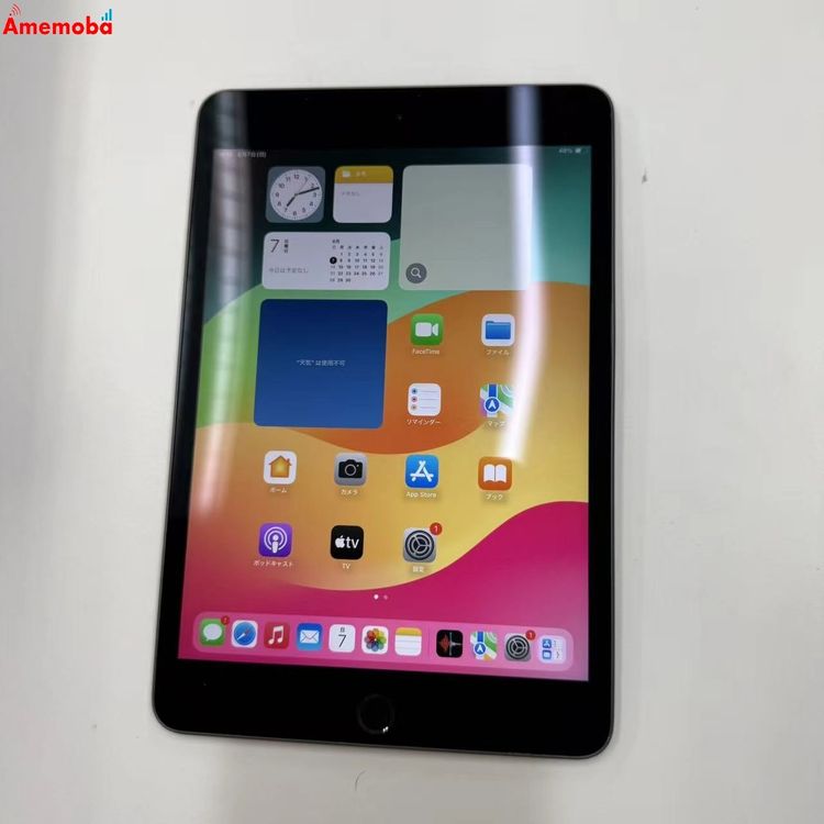 iPad mini ��5���� Wi-Fi��ǥ� 64GB ���ڡ������쥤 MUQW2J/A �����