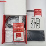 Nintendo Switch 64GB ホワイト HEG-S-KAXAA カスタムモデル 未使