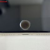 iPhoneSE ��3���� 64GB �������饤�� MMYD3J/A SoftBank��SIM�ե꡼