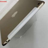 iPad mini 4 128GB  MK782J/A docomoSIMե꡼ 