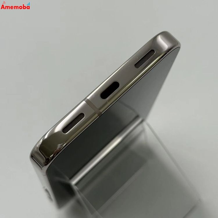 Google Pixel 10 Pro 256GB porcelain GN4F5 SIM�ե꡼ ��