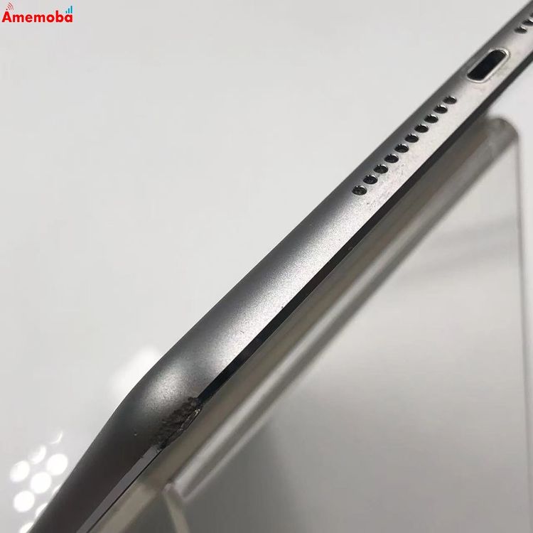 iPad mini ��4���� Wi-Fi��ǥ� 128GB ���ڡ������쥤 MK9N2X/A ������