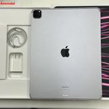 iPad Pro 12.9 6 256GB ڡ쥤 MP203J/A AUSI