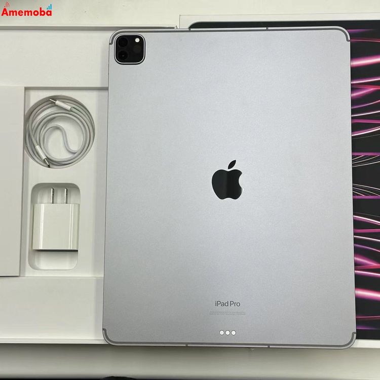 iPad Pro 12.9 6 256GB ڡ쥤 MP203J/A AUSI