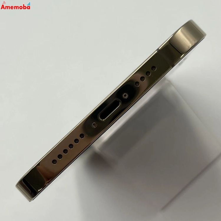 iPhone12 Pro Max 256GB ������� MGD13J/A SIM�ե꡼ �������