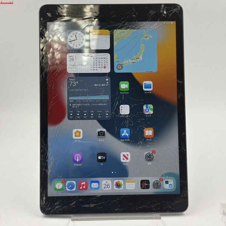 iPad ��9���� Wi-Fi+Cellular��ǥ� 64GB ���ڡ������쥤 MK473J/A