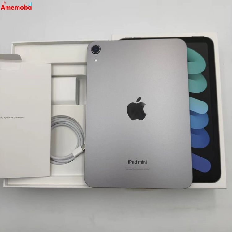 iPad mini ��7���� (A17 Pro) Wi-Fi��ǥ� 128GB ���ڡ������쥤 MX