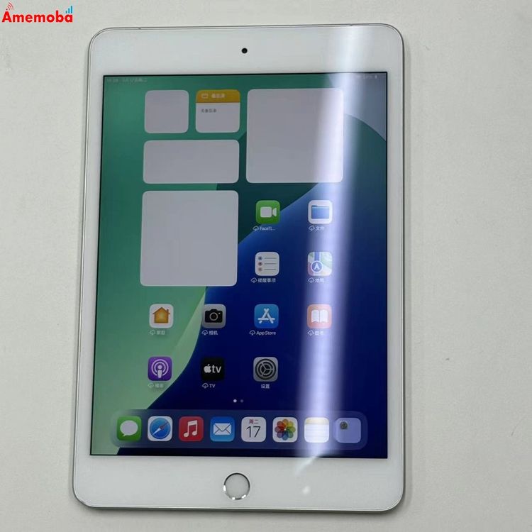 iPad mini ��5���� 256GB ����С� MUXD2X/A Apple��SIM�ե꡼ ����