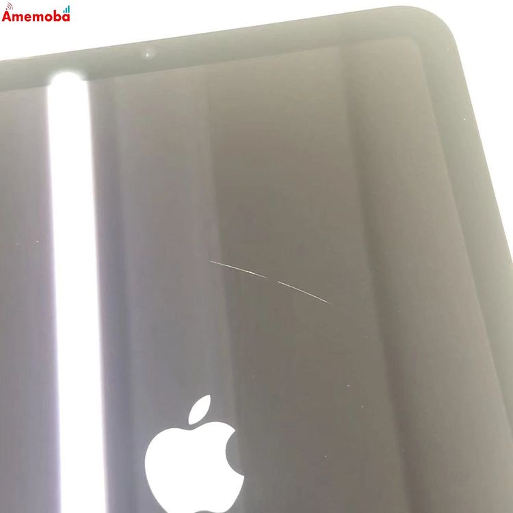 iPad mini ��7���� Wi-Fi��ǥ� 256GB ���ڡ������쥤 4XNA3ZN/A ����