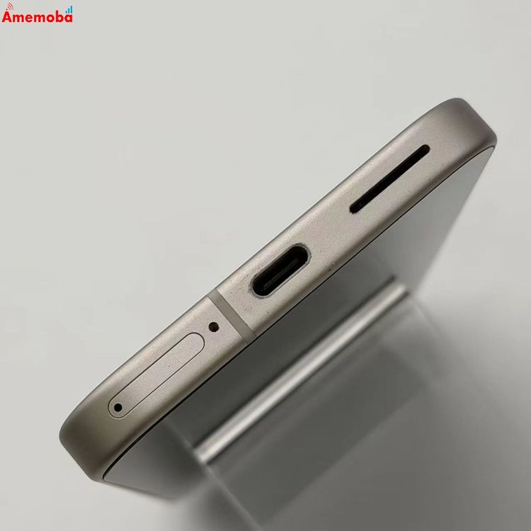 Google Pixel 9 8GB/128GB �ݡ������ Pixel9 SoftBank��SIM