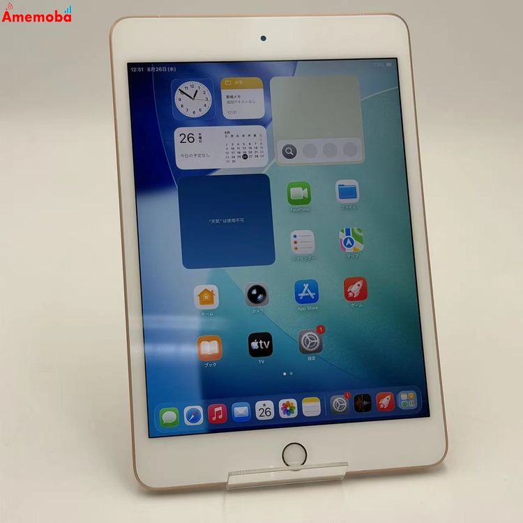 iPad mini ��5���� Wi-Fi+Cellular ��ǥ� 256GB ������� MUXE2