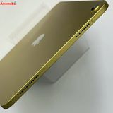 ®ȯiPad 10 Wi-Fiǥ 256GB  MPQA3CH/A