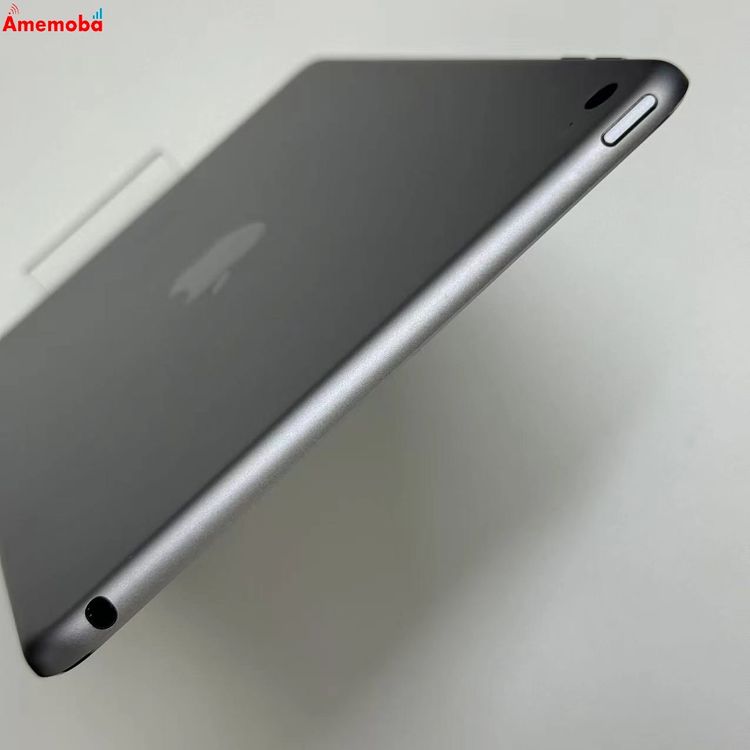 iPad mini ��4���� Wi-Fi��ǥ� 32GB ���ڡ������쥤 MNY12J/A ������