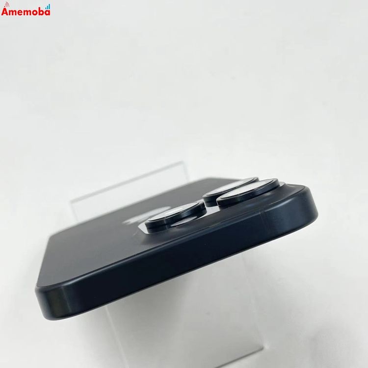 iPhone15 Pro 256GB �֥롼�����˥��� MTUG3J/A Apple��SIM�ե꡼