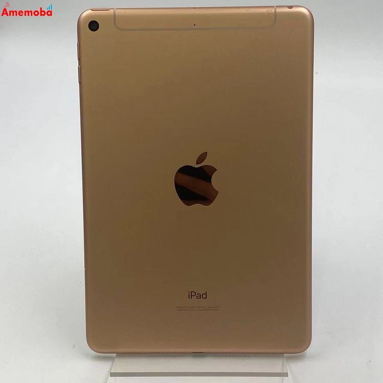 iPad mini 5 64GB  MUX72J/A docomoSIMե꡼ 