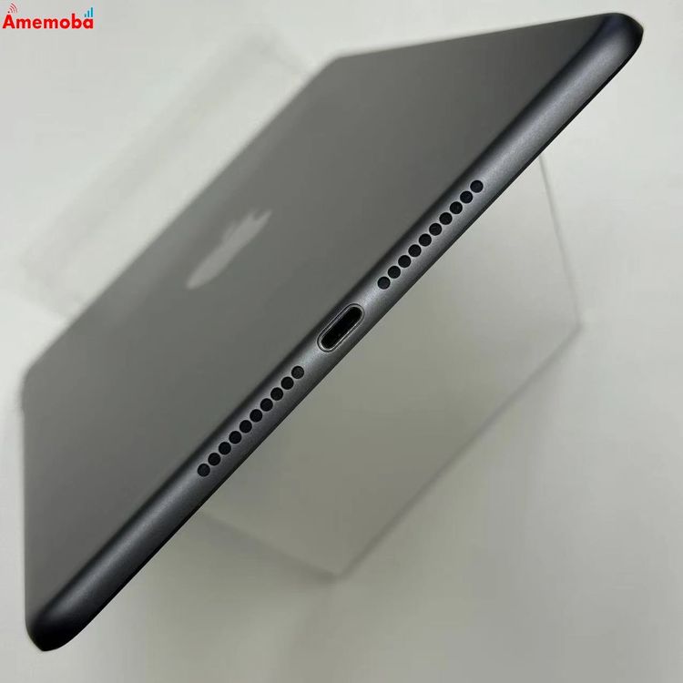 iPad mini ��5���� Wi-Fi��ǥ� 256GB ���ڡ������쥤 MUU32J/A �����