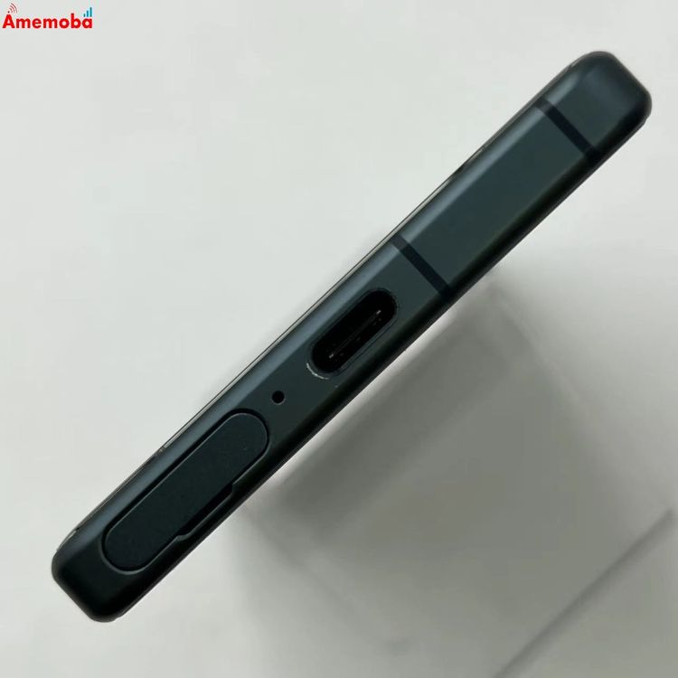 Xperia 5 IV 8GB/128GB ���꡼�� SO-54C docomo��SIM�ե꡼ ����