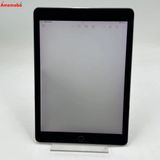 iPad Pro 9.7����� Wi-Fi��ǥ� 128GB ���ڡ������쥤 MLMV2J/A