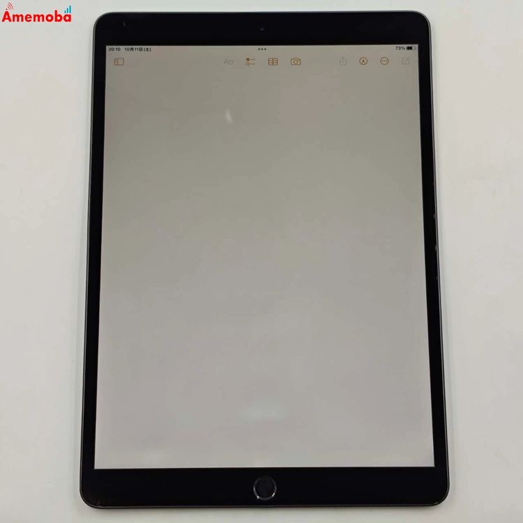 iPad Air 3 Wi-Fiǥ 256GB ڡ쥤 MUUQ2J/A  