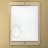 ®ȯiPad Pro 9.7 Wi-Fiǥ 32GB 3A857J/A 
