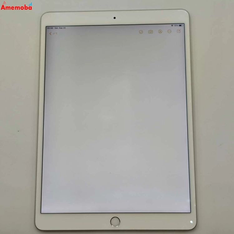 iPad Air 3 Wi-Fiǥ 256GB С MUUR2J/A  