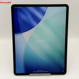 iPad Pro 12.9����� ��5���� Wi-Fi+Cellular ��ǥ� 512GB ���ڡ�