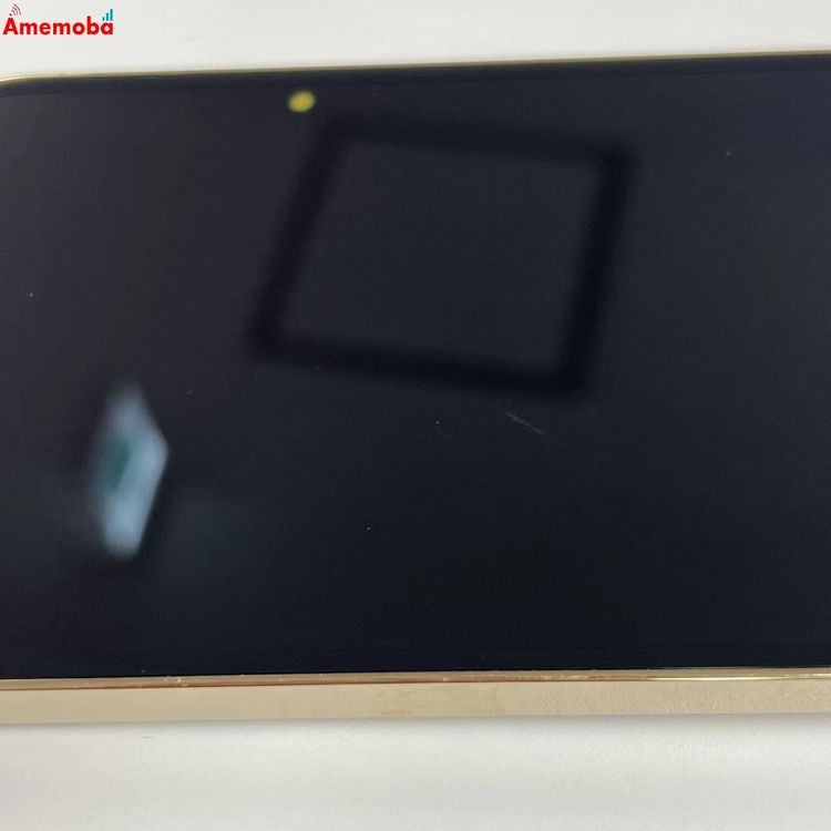 iPhone13 Pro Max 1TB ������� MLKJ3J/A SIM�ե꡼ �������