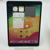 iPad Pro 10.5 64GB ڡ쥤 MQEY2J/A docomoSIM