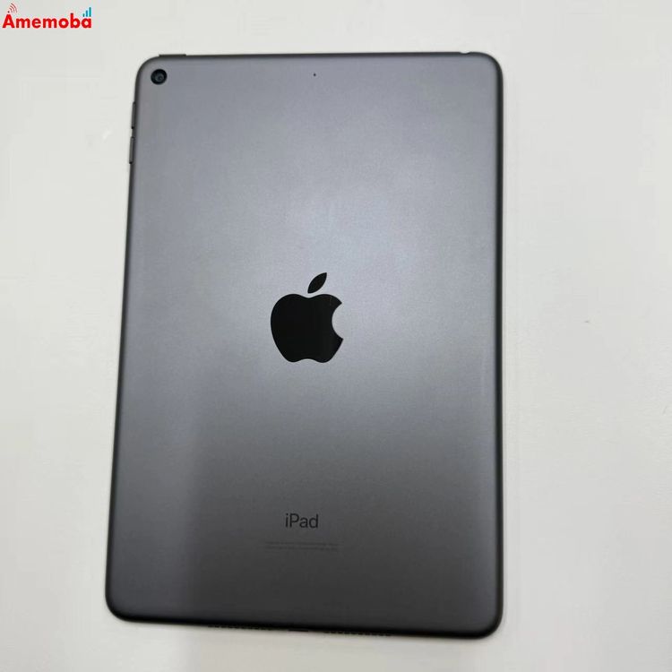 iPad mini ��5���� Wi-Fi��ǥ� 256GB ���ڡ������쥤 MUU32J/A �����