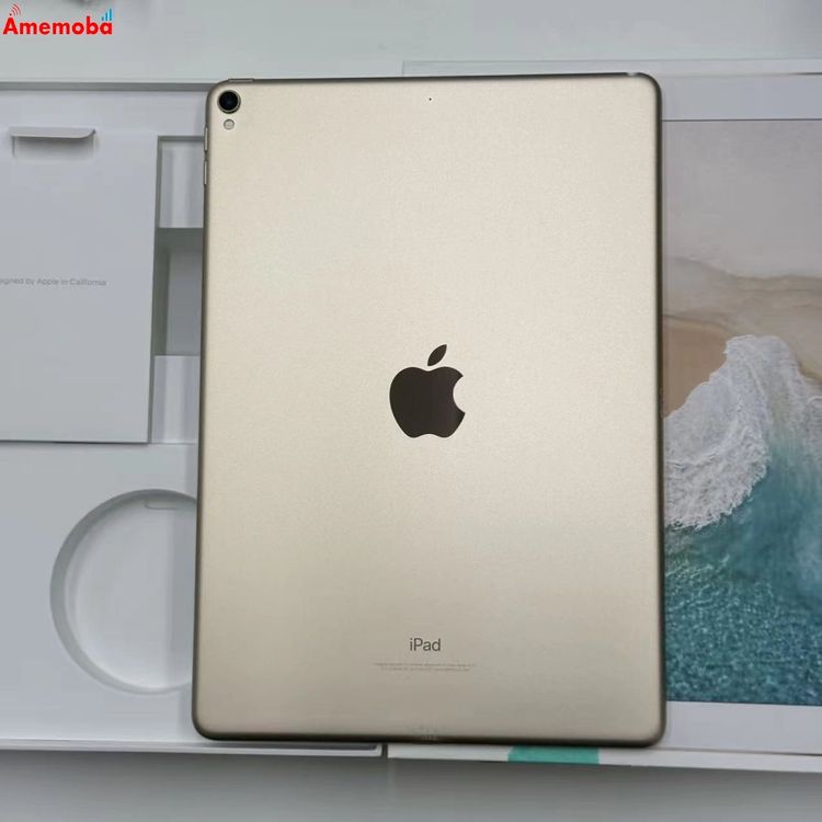 iPad Pro 10.5����� Wi-Fi��ǥ� 64GB ������� MQDX2J/A ��������