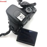 ��®ȯ��EOS Kiss X5 EF-S18-55 IS II KISSX5-1855IS2LK