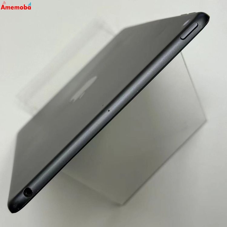 iPad mini ��5���� Wi-Fi��ǥ� 64GB ���ڡ������쥤 MUQW2J/A �����