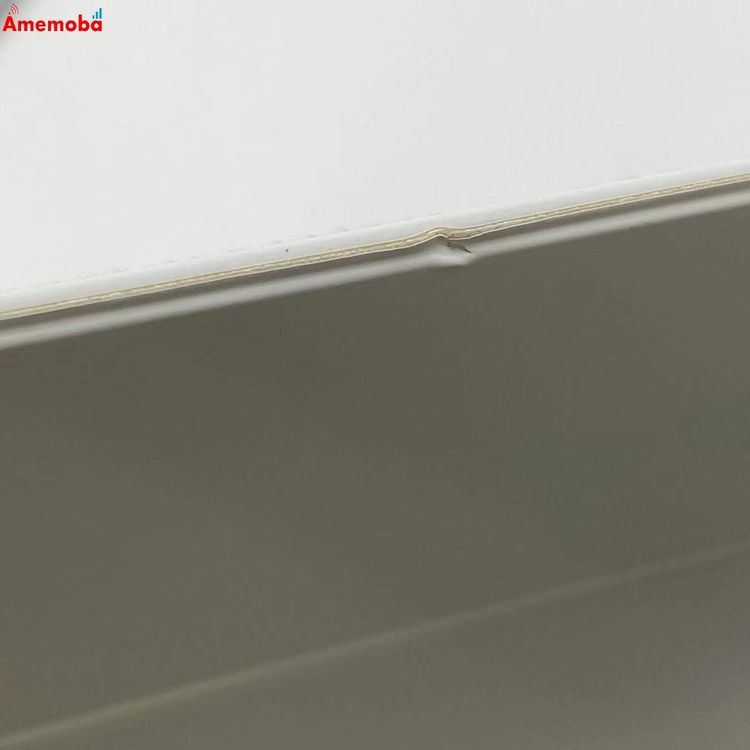 Apple Magic Keyboard Folio ܸ(JIS) iPad(10) M