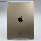 iPad Air ��2���� Wi-Fi+Cellular��ǥ� 64GB ������� MH172J/A