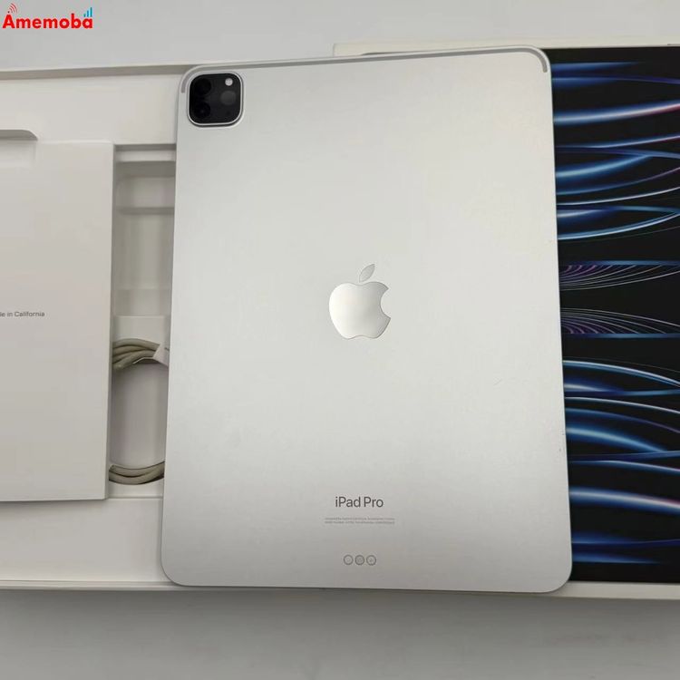 iPad Pro 11����� ��4���� Wi-Fi��ǥ� 128GB ����С� MNXE3J/A
